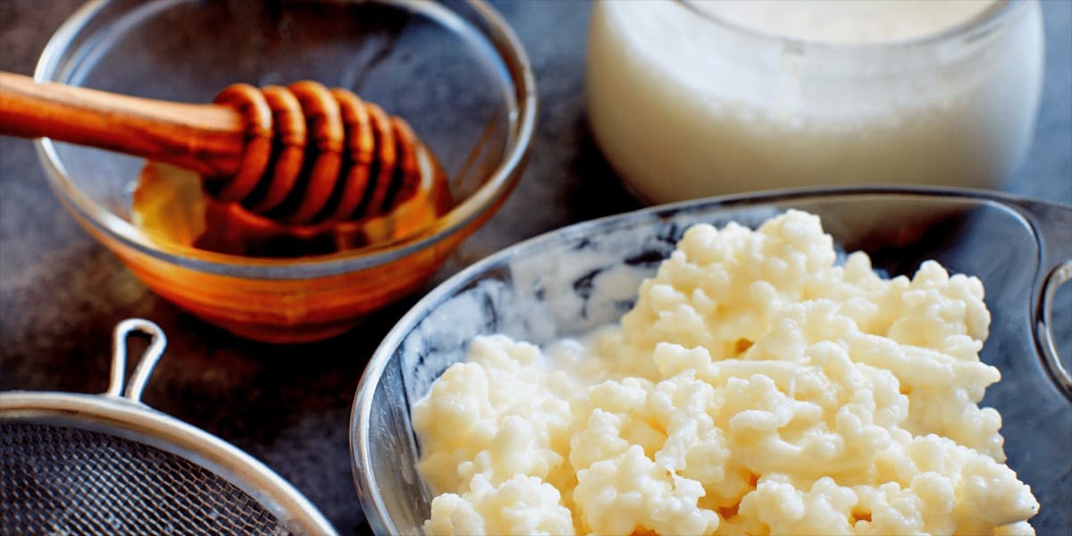 Probióticos em casa Descubra os alimentos probióticos do dia a dia