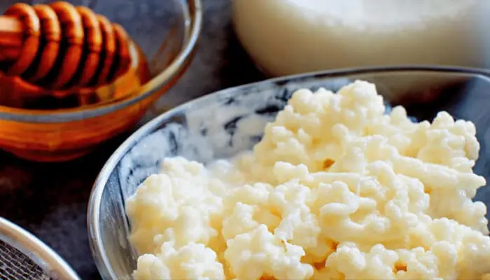 Kefir