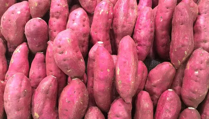 Doce de Batata Doce
