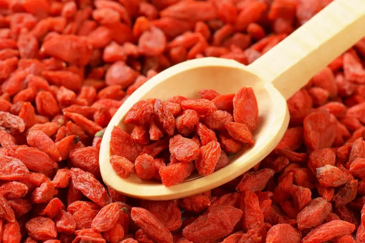 Goji Berry