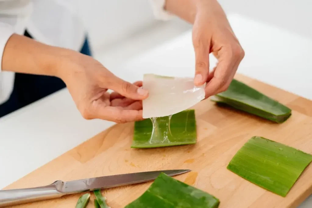 anti-inflamatória aloe vera