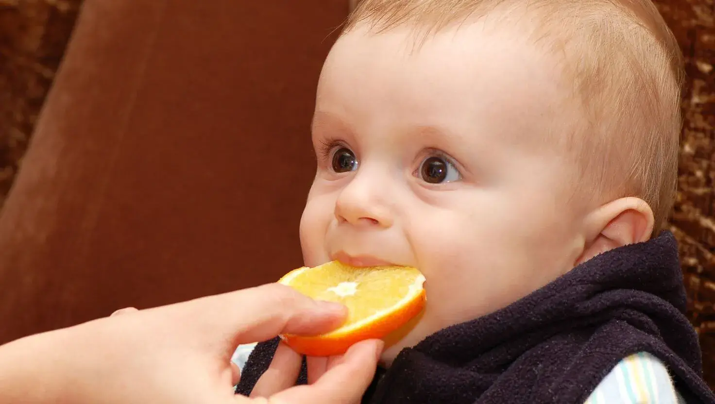 Fortalecimento do sistema imunológico atraves das frutas